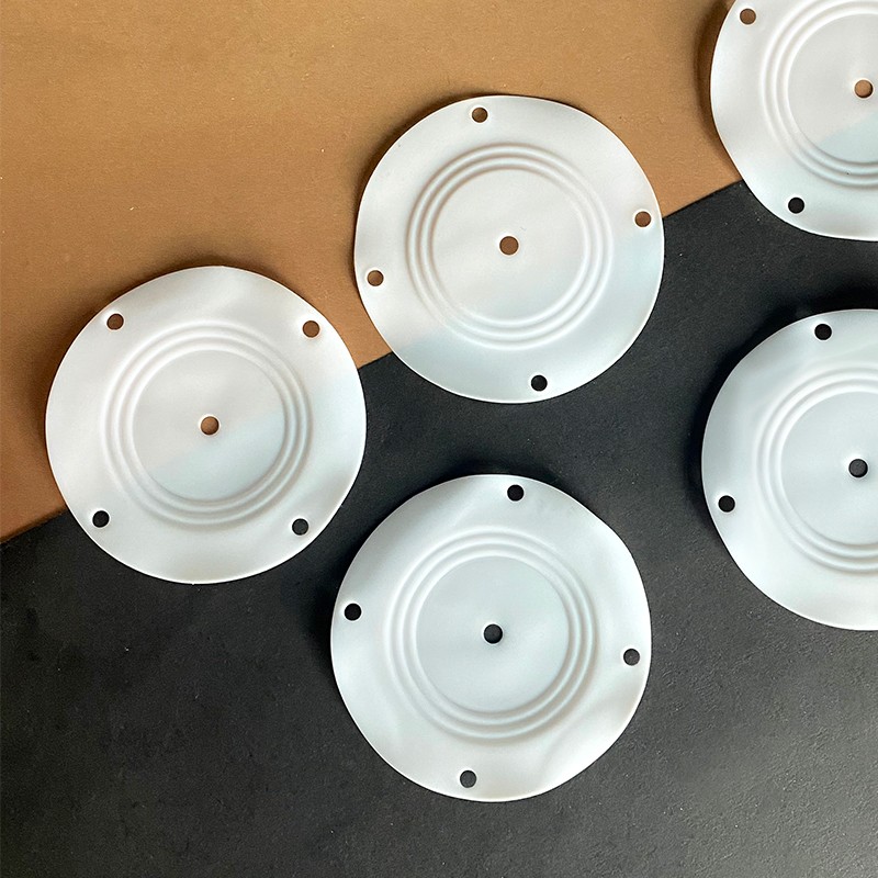 PTFE Diaphragm